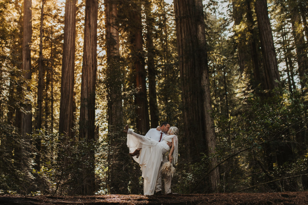 elope in the redwoods
