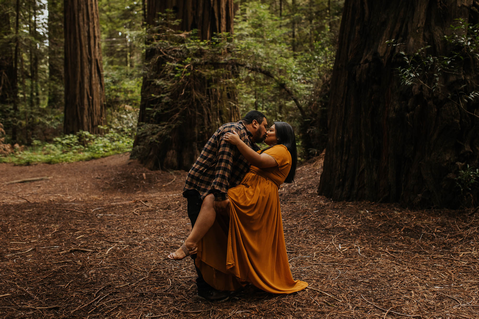 romantic-engagement-california-redwoods
